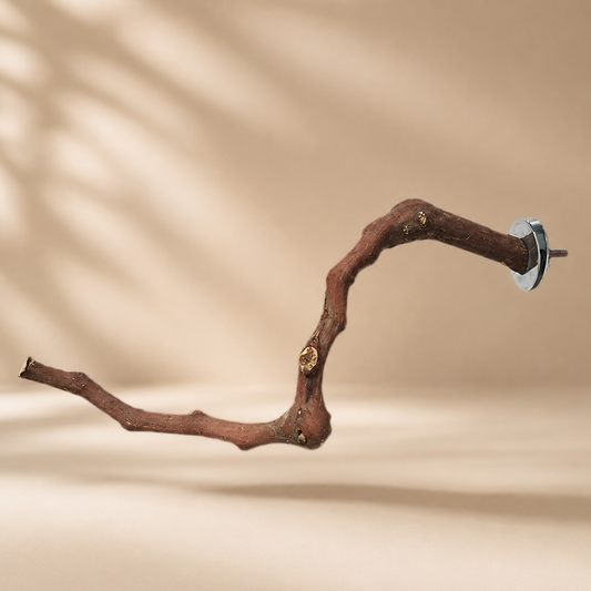 Natural Branch Bird Cage Perch