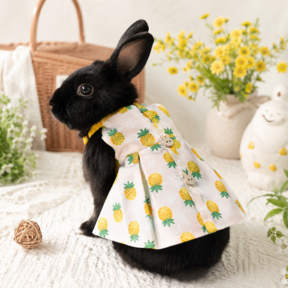 Fruit Print Dress & Harness for Bunnies