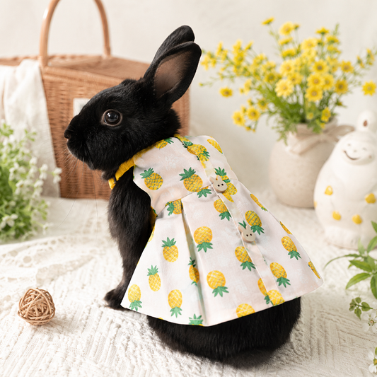 Fruit Print Dress & Harness for Bunnies