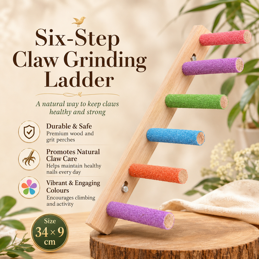 Colourful Bird Climbing Ladder with Grinding Perches