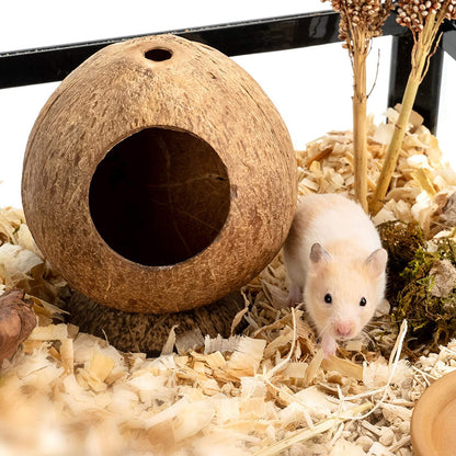 Natural Coconut Shell Pet Pod with Base