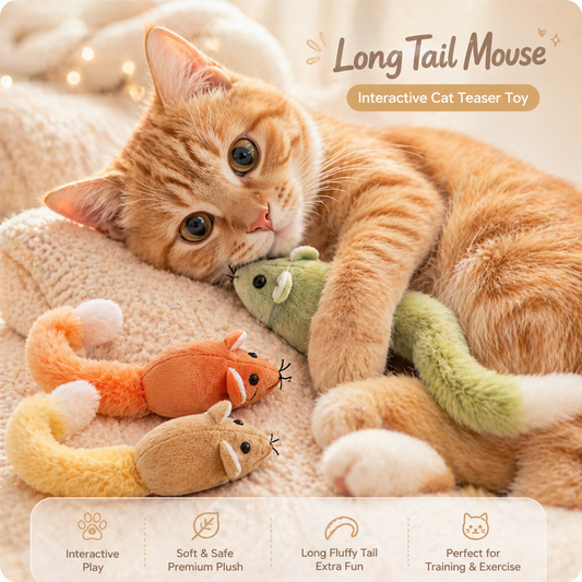 Cat Teaser Mouse Toy with Long Tail