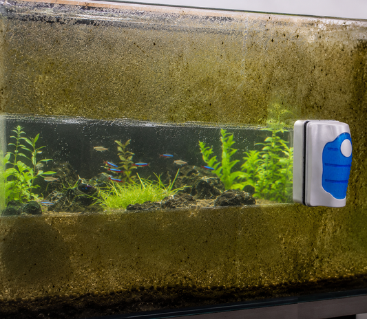 Floating Magnetic Aquarium Cleaner – Fish Tank Cleaning Brush