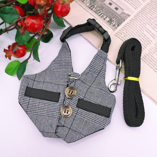 Stylish Rabbit Harness & Leash Set